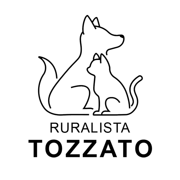 Tozzato